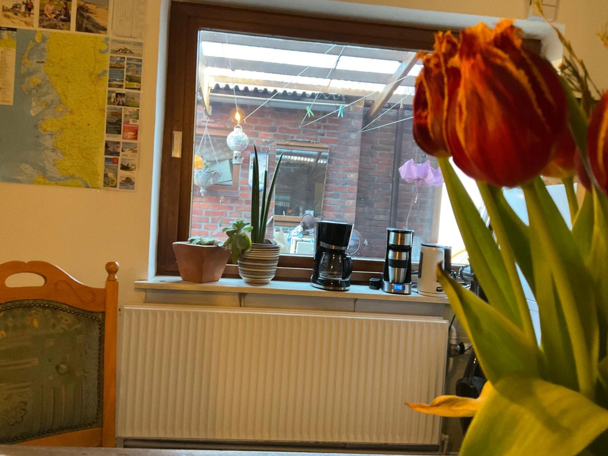 Privartzimmer 'Ausfahrt Freihalten' Husum  Exterior photo