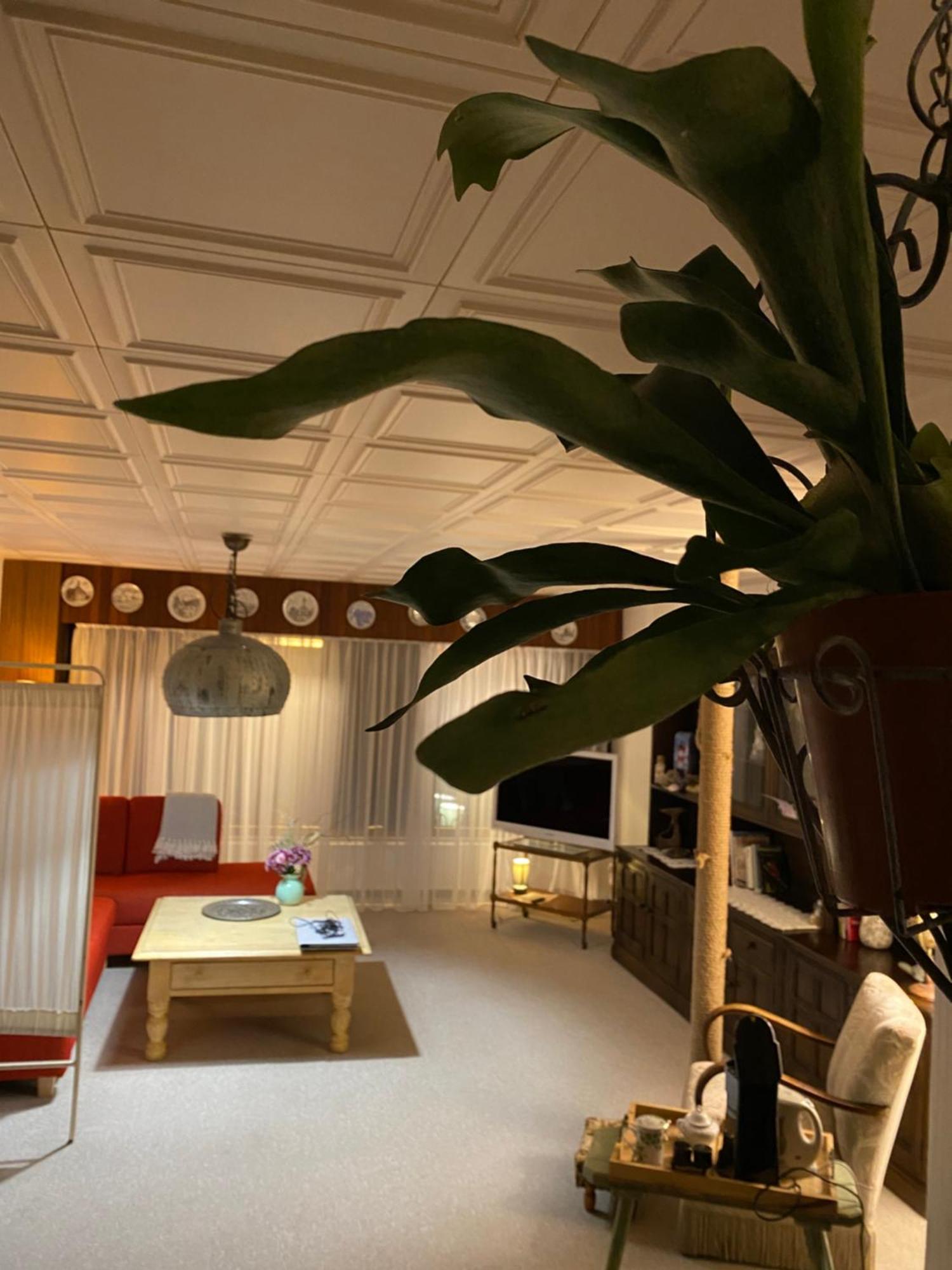Privartzimmer 'Ausfahrt Freihalten' Husum  Exterior photo
